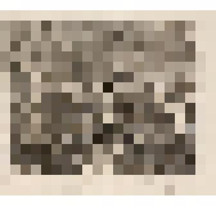 Ввод во владение. Лист  I из серии "Карьера мота". 1735, из альбома «The Works of William Hogarth»