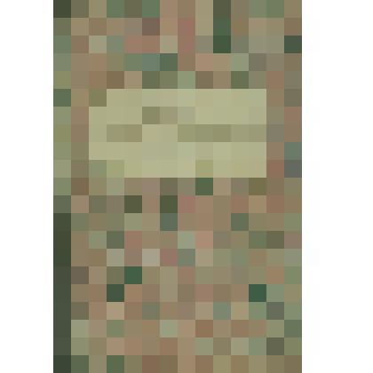 Реестр  Сольвычегодского  Сиротского  суда