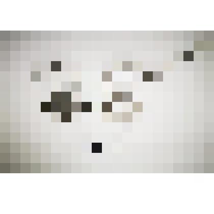 Очки Менделеева Д.И