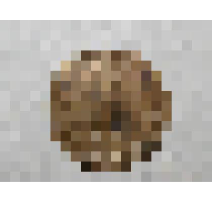 Монета. 2 копейки