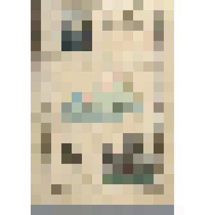 Нюландская губерния