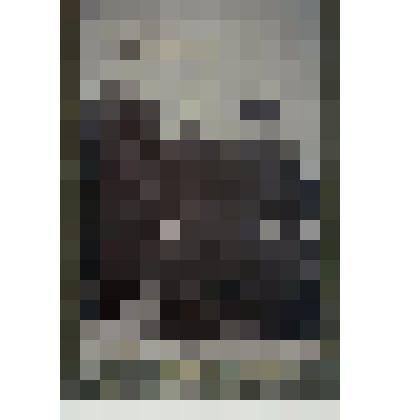 Фотография групповая. Александр Андреевич Морозов (стоит) с друзьями