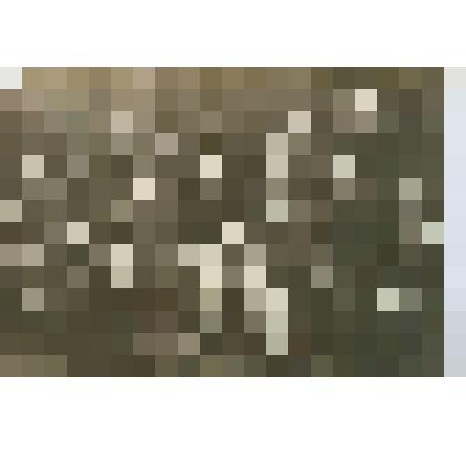 Фотография черно-белая. Делегаты Всесоюзного совещания передовых библиотек Севера