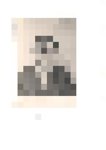 Фотография ч/б. Медведев И. Е., выпускник Тюменцевской средней школы