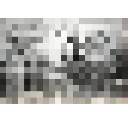 Негатив "Вид дома в п. Мясное Рязанской области в зимнее время"