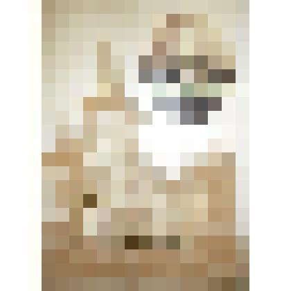 Книга.  Михаил Николаевич Галкин - Враской. Государственная и общественная деятельность