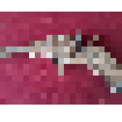 Револьвер системы Нагана (7,62 мм)