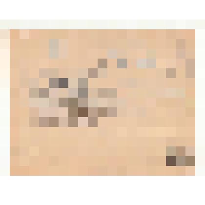 Телеграмма. Долматовский. Адресат: Кассиль Лев Абрамович, г. Москва - г. Москва. Машинопись