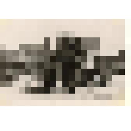 Фотография: новейший самоходный комбайн С-4М совхоза "Октябрь" Каменского района