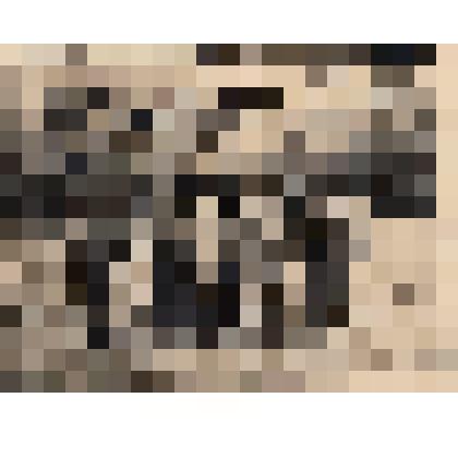 Ф/чб. Группа однополчан 148-й стрлковой дивизии. 1 ряд: ст/л-т Арутюнян, к-н Стадник Ник. Вас., ст/л-т Щербак Мария К., к-н Белый Вас. Карп., к-н Бекоев Дм. Нест. 2 ряд: м-р Востриков, мл/л-т Харченко Мих. Степ. Бреслау. 19.10.1945