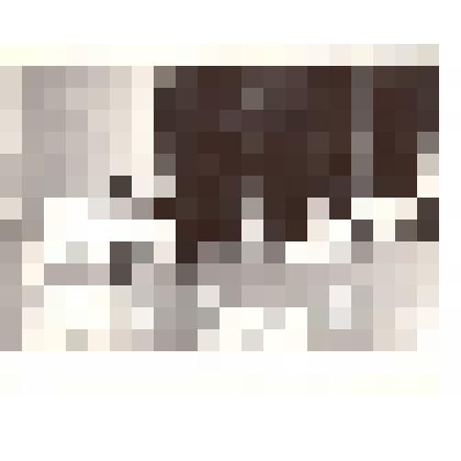 Фотография: районное совещание колхозников. Выступает главный инженер Каменского авторемзавода Ермолаев Владимир Степанович