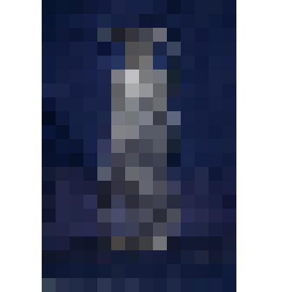 Стужа (декоративная композиция)