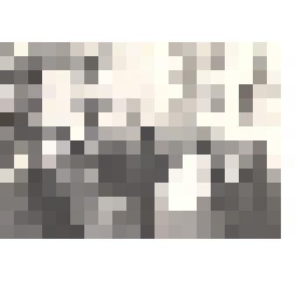 Фотография: на художественной выставке картин художников-земляков в г.Камень-на-Оби Алтайского края