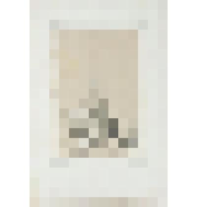 Литография. "Москва. Ворота Святого Николая."