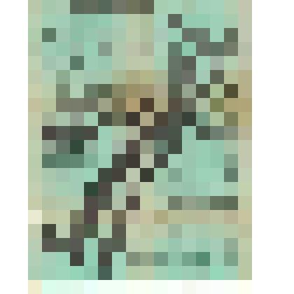 Афиша спектакля О-ва приказчиков г. Мин-ка и уезда «Непогребенные» (драма В. Евдокимова), спектакль состоялся 6 ноября 1916 г