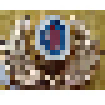 Знак металлический на головной убор сотрудников внутренних дел Российской Федерации