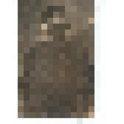 Ф/чб. Поволжская немка-колонистка (типовой портрет сзади, вид прически). 1920-е. /Экспедиция Г. Дингеса/