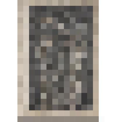 Письмена. XIV. Из комплекта: Иллюстрации к "Песне о Гайовате"