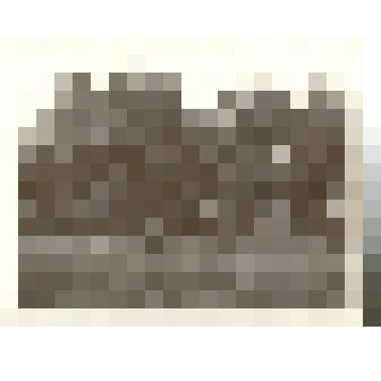 Фотография. Загородная роща - место стоянки красных партизан в 1919 году