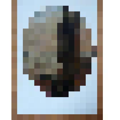 Цветная открытка " Пейзаж с кипарисами" из комплекта открыток "Куйбышевский художественный музей" в обложке