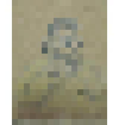 Кулак. Рисунок