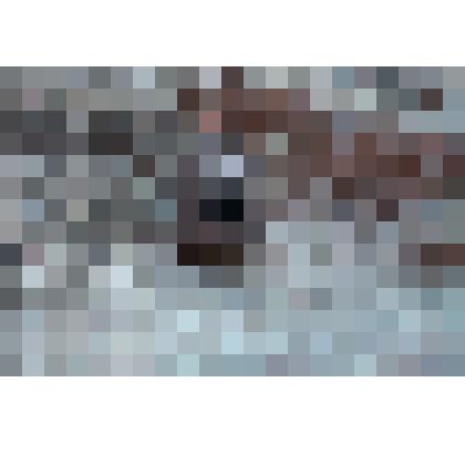 Значок с портретом Ленина