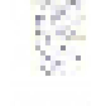 Письмо С.В. Киселёву от Шамотульской М.А.,24.03.1985 г