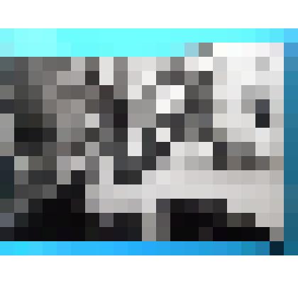 фотография. Антошева Александра Ильинична сидит за столом с книгой