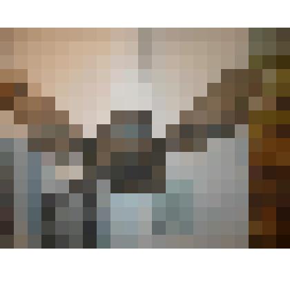 Череп с остовами рогов исполинского оленя