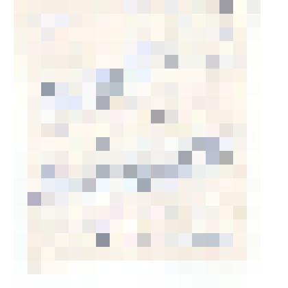 Автобиография Шварева Петра Александровича