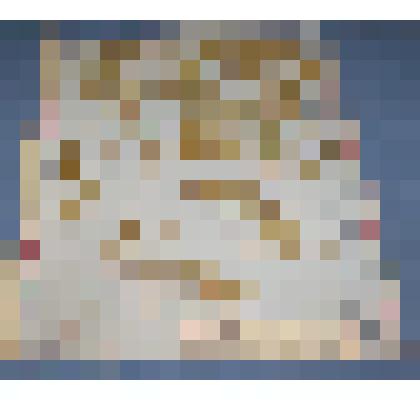 Ботаническая коллекция. Плаун -деряба, на гербарном листе, Красноярский край, Ермаковский район, окраина с. Григорьевка. Yucopodiaceae Yucopodium amotinum Z