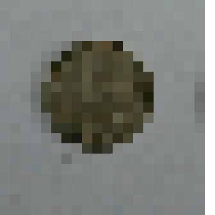 Металлический денежный знак - 10 копеек