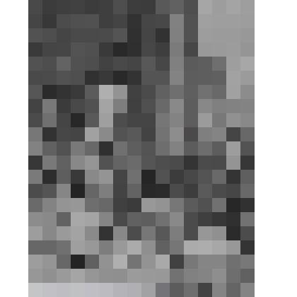 Портрет Каронделе