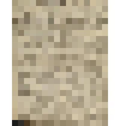 Газета. Русское знамя. № 245 (2 л.;)