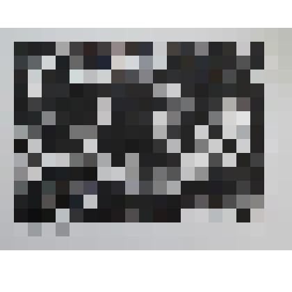 Кабан и Булька. Иллюстрация из серии "Рассказы о животных"