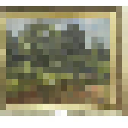 "Подмосковный пейзаж". Льяловской галереи