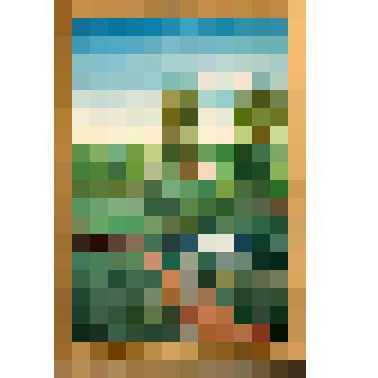 Дачный сад «Заречный» В. Синячиха