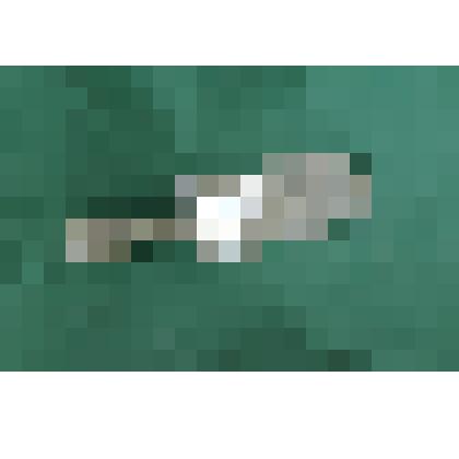 Било (валек)