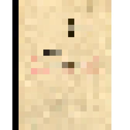 Папка с перепиской В.А. Корнеева с Б.В. Доброхотовым