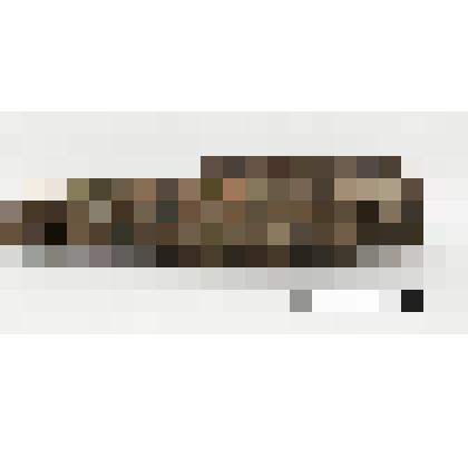 Саркофаг с мумией