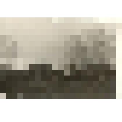 Фотография: митинг в г.Камень-на-Оби, посвященный открытию памятника на братской могиле красным партизанам