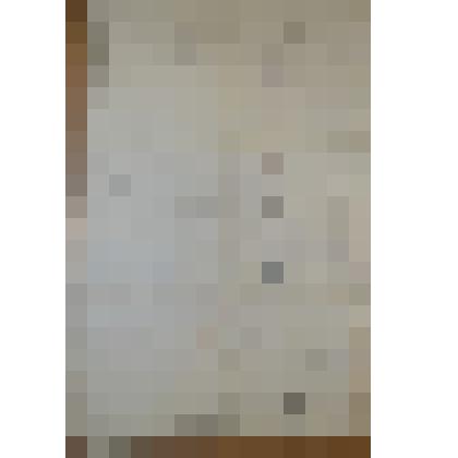 План выгонной земли  г. Сольвычегодска, застроенной салотопенным заводом Сольвычегодского  3-ей  гильдии  купца  Андрея  Хаминова