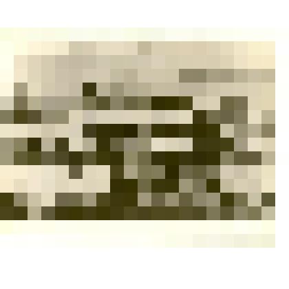 Фотография: панорама с. Камень Барнаульского уезда Томской губернии. Копия