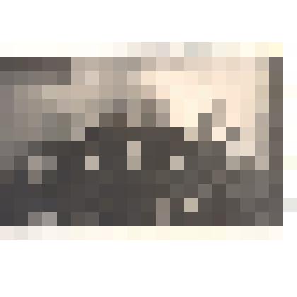 Фотография: делегаты совещания молодых строителей Сибири, проходившем в Барнауле. Представители СМП-302