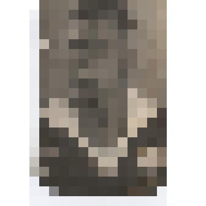 Портрет Альшаникова К.Т. Фотография