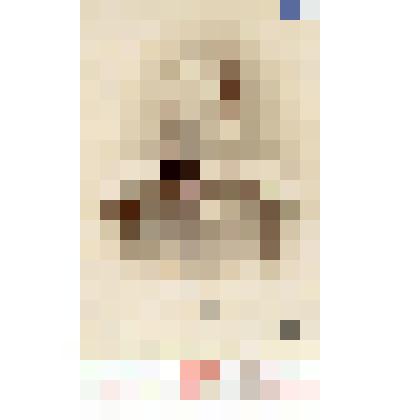 Фотография черно-белая. Витте Бруно Альбертович