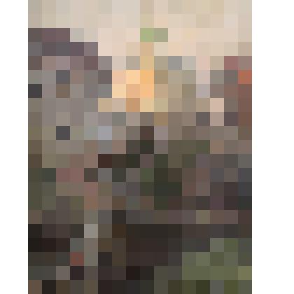 Максимов Константин Мефодьевич (ученик Д.А. Трубникова) "Псков"