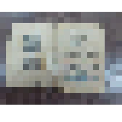 Удостоверение в медали "За Победу над Японией" Н. А. Алтухова