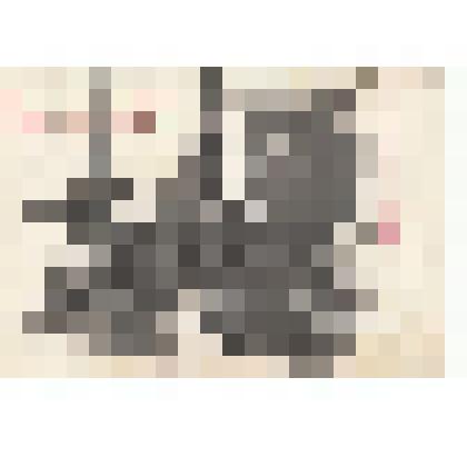 Ф/чб. Продукция государственного завода сельско-хозяйственного машиностроения "Возрождение" (Коммунист): агрегат с центробежный 4-колесным двигателем (№6). АССРНП. Марксштадт. 1920-е