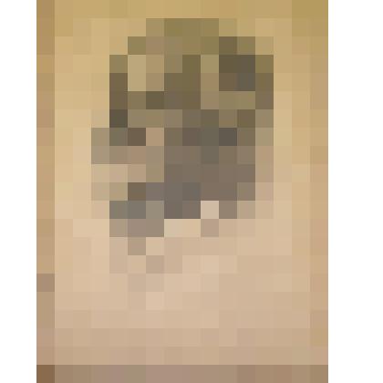 Фотография. Леонид Борисович Красин